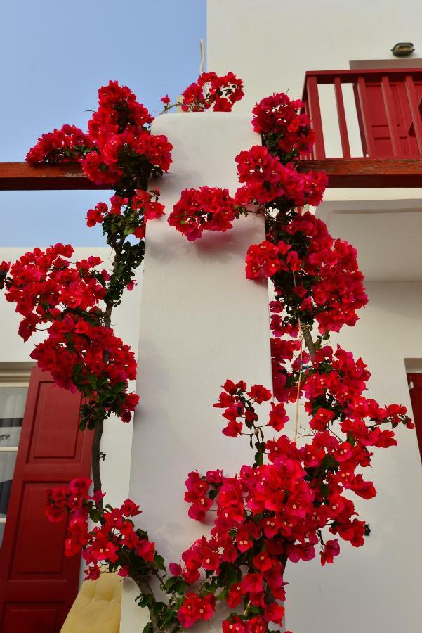 Seagull Rooms غاليساس المظهر الخارجي الصورة